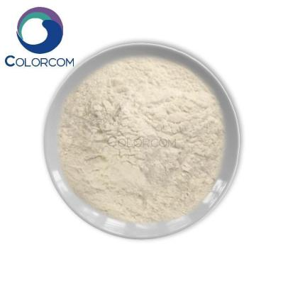 Hydrangea polysaccharides